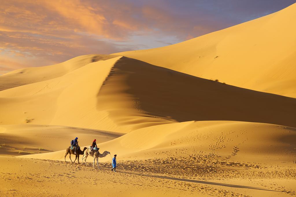 Camel Trek Bivouac Hotel Merzouga Cameră foto